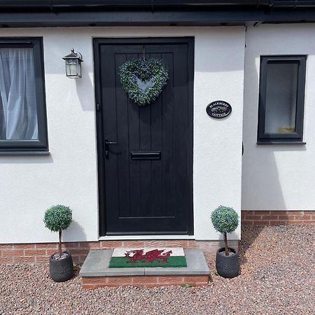 Blackberry Cottage كارديف المظهر الخارجي الصورة